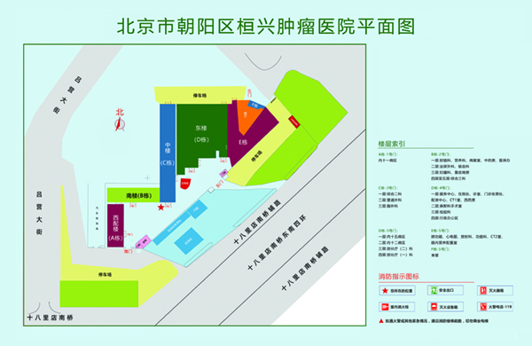 逼特逼视频网站在线观看北京市朝阳区桓兴肿瘤医院平面图